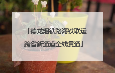 德龙烟铁路海铁联运跨省新通道全线贯通
