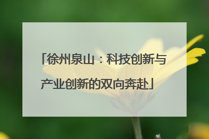 徐州泉山：科技创新与产业创新的双向奔赴