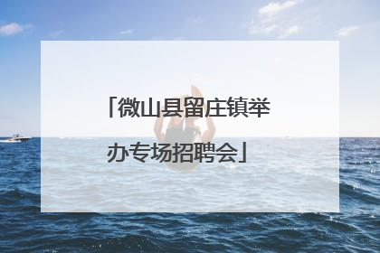 微山县留庄镇举办专场招聘会