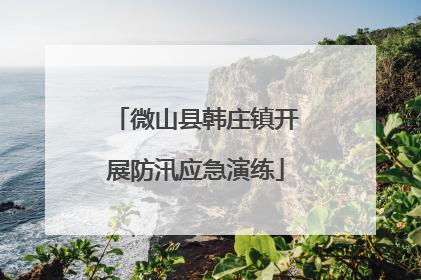 微山县韩庄镇开展防汛应急演练