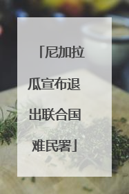 尼加拉瓜宣布退出联合国难民署