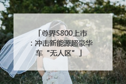 尊界S800上市：冲击新能源超豪华车“无人区”