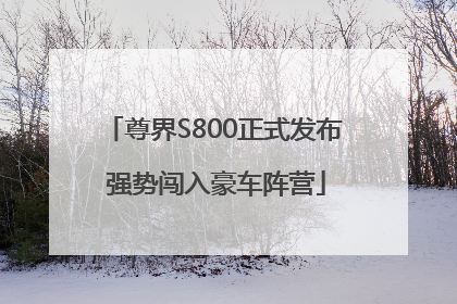 尊界S800正式发布 强势闯入豪车阵营