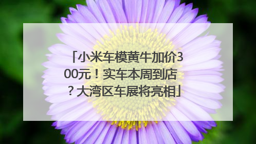 小米车模黄牛加价300元！实车本周到店？大湾区车展将亮相