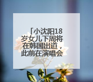 小沈阳18岁女儿下周将在韩国出道，此前在演唱会登台唱跳遭吐槽