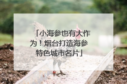 小海参也有大作为！烟台打造海参特色城市名片