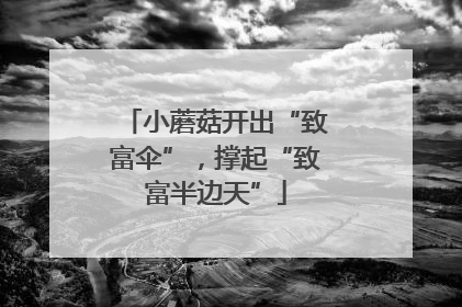 小蘑菇开出“致富伞”，撑起“致富半边天”