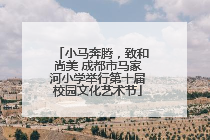小马奔腾，致和尚美 成都市马家河小学举行第十届校园文化艺术节