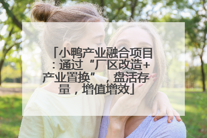 小鸭产业融合项目：通过“厂区改造+产业置换”，盘活存量，增值增效