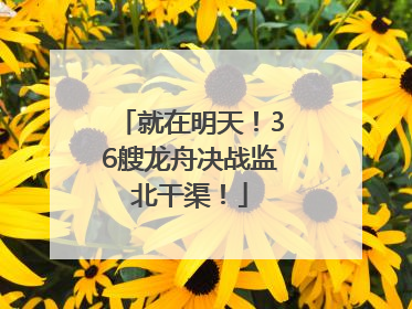 就在明天！36艘龙舟决战监北干渠！