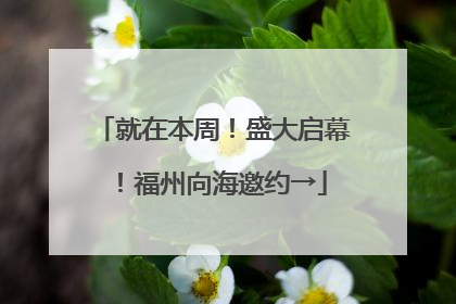 就在本周！盛大启幕！福州向海邀约→