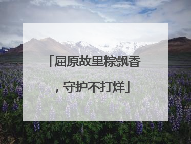 屈原故里粽飘香，守护不打烊