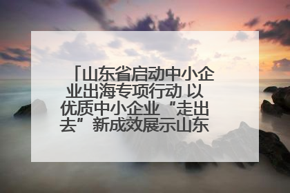 山东省启动中小企业出海专项行动 以优质中小企业“走出去”新成效展示山东产业发展新形象