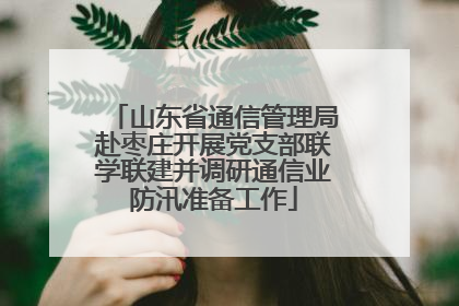 山东省通信管理局赴枣庄开展党支部联学联建并调研通信业防汛准备工作