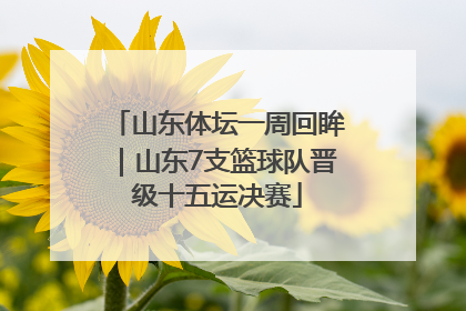 山东体坛一周回眸｜山东7支篮球队晋级十五运决赛