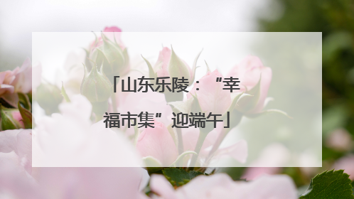 山东乐陵：“幸福市集”迎端午
