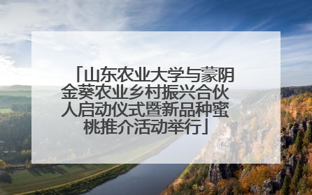 山东农业大学与蒙阴金葵农业乡村振兴合伙人启动仪式暨新品种蜜桃推介活动举行