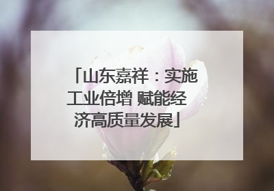 山东嘉祥：实施工业倍增 赋能经济高质量发展