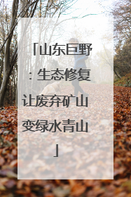 山东巨野：生态修复让废弃矿山变绿水青山