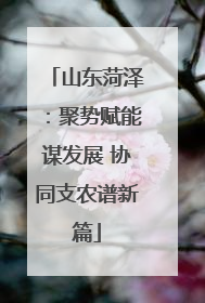 山东菏泽：聚势赋能谋发展 协同支农谱新篇