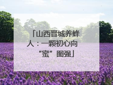 山西晋城养蜂人：一颗初心向“蜜”图强