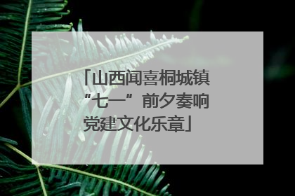 山西闻喜桐城镇“七一”前夕奏响党建文化乐章