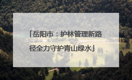 岳阳市：护林管理新路径全力守护青山绿水