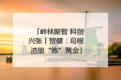 峰林聚智 科创兴张丨贺健：葛根渣里“炼”黄金
