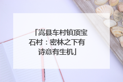 嵩县车村镇顶宝石村：密林之下有诗意有生机