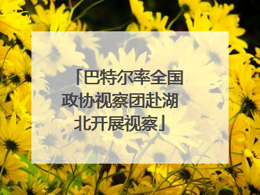 巴特尔率全国政协视察团赴湖北开展视察