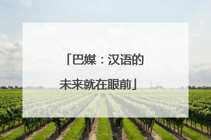 巴媒：汉语的未来就在眼前
