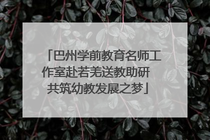 巴州学前教育名师工作室赴若羌送教助研 共筑幼教发展之梦