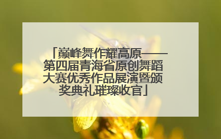 巅峰舞作耀高原——第四届青海省原创舞蹈大赛优秀作品展演暨颁奖典礼璀璨收官