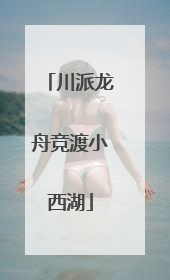 川派龙舟竞渡小西湖