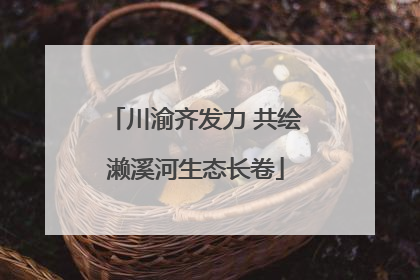 川渝齐发力 共绘濑溪河生态长卷