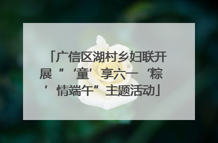 广信区湖村乡妇联开展“‘童’享六一‘粽’情端午”主题活动