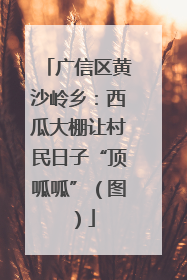 广信区黄沙岭乡：西瓜大棚让村民日子“顶呱呱”（图）