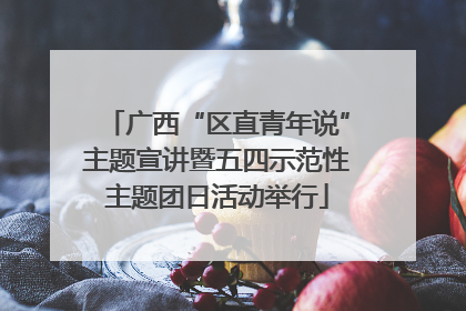 广西“区直青年说”主题宣讲暨五四示范性主题团日活动举行