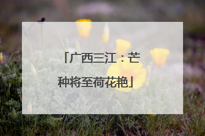 广西三江：芒种将至荷花艳