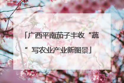 广西平南茄子丰收“蔬”写农业产业新图景