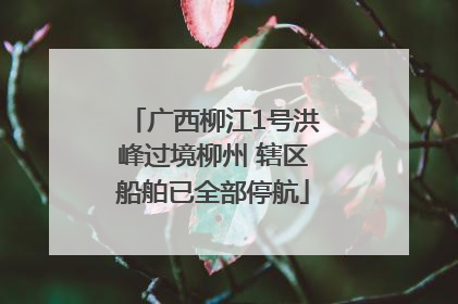 广西柳江1号洪峰过境柳州 辖区船舶已全部停航