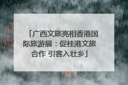 广西文旅亮相香港国际旅游展：促桂港文旅合作 引客入壮乡