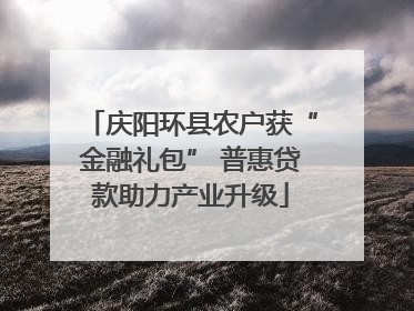 庆阳环县农户获“金融礼包” 普惠贷款助力产业升级