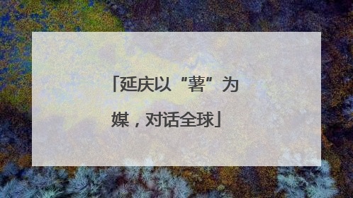 延庆以“薯”为媒，对话全球