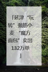 延津“玩转”强筋小麦 “魔方面包”卖出132万单