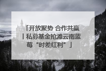 开放聚势 合作共赢丨私募基金抢滩云南蓝莓“时差红利”