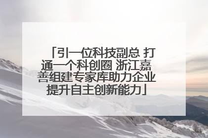 引一位科技副总 打通一个科创圈 浙江嘉善组建专家库助力企业提升自主创新能力
