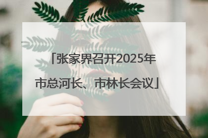 张家界召开2025年市总河长、市林长会议