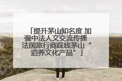 提升茅山知名度 加强中法人文交流传播 法国旅行商踩线茅山“道养文化产品”