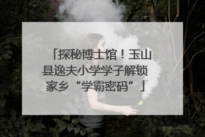 探秘博士馆！玉山县逸夫小学学子解锁家乡“学霸密码”